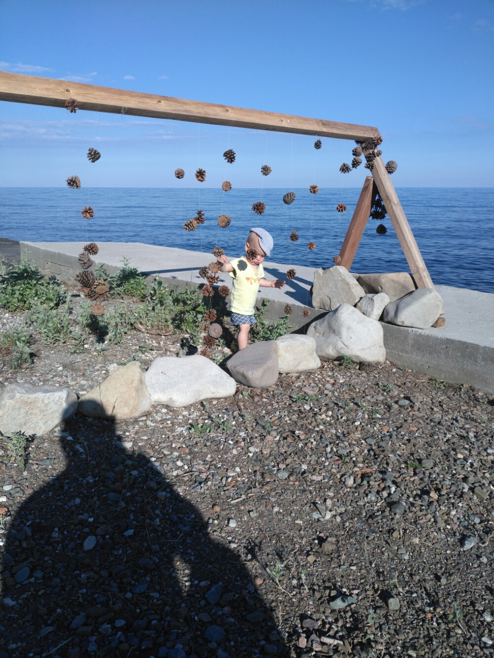 IMG_20160610_180138.jpg image