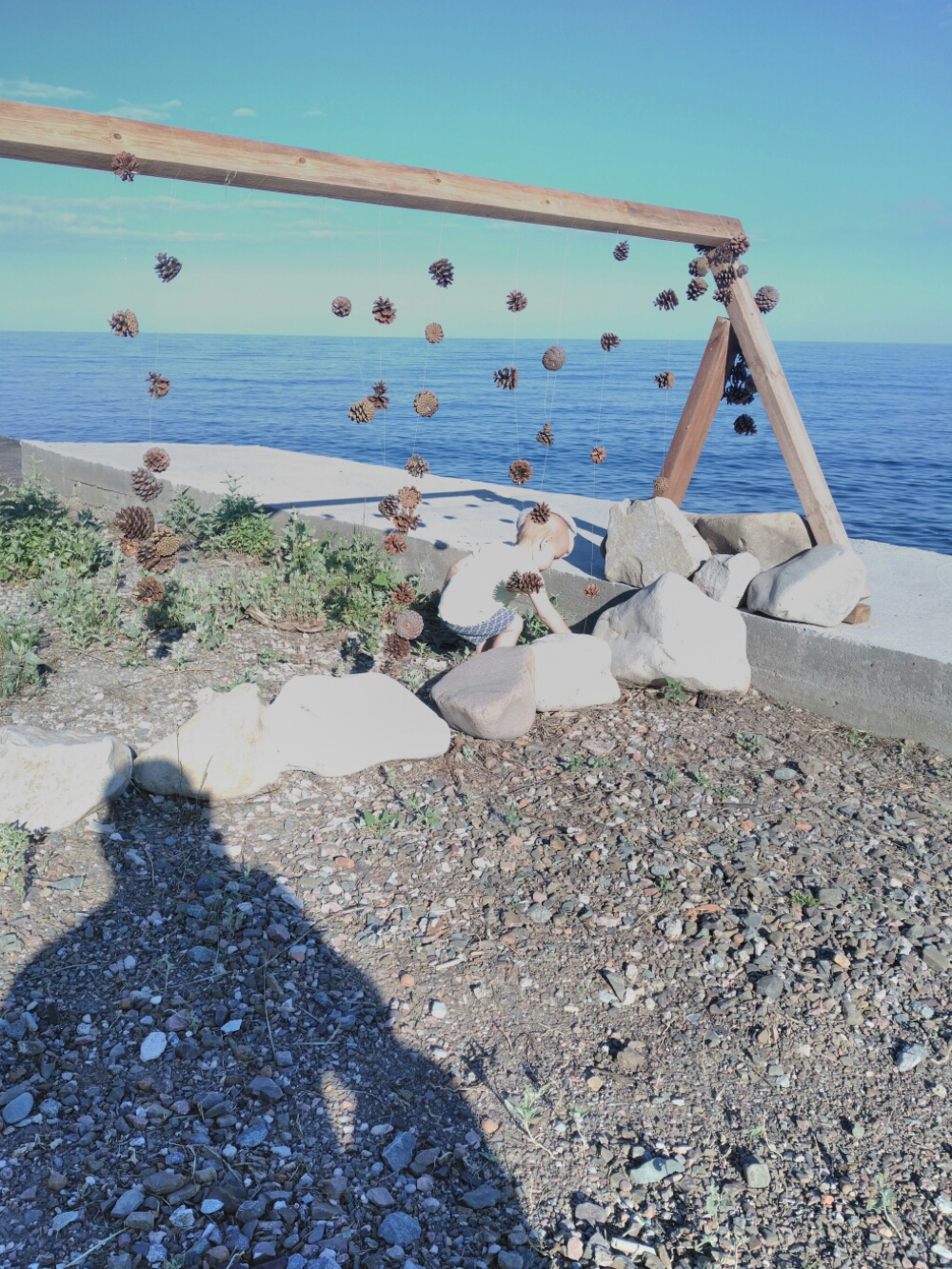 IMG_20160610_180143.jpg image