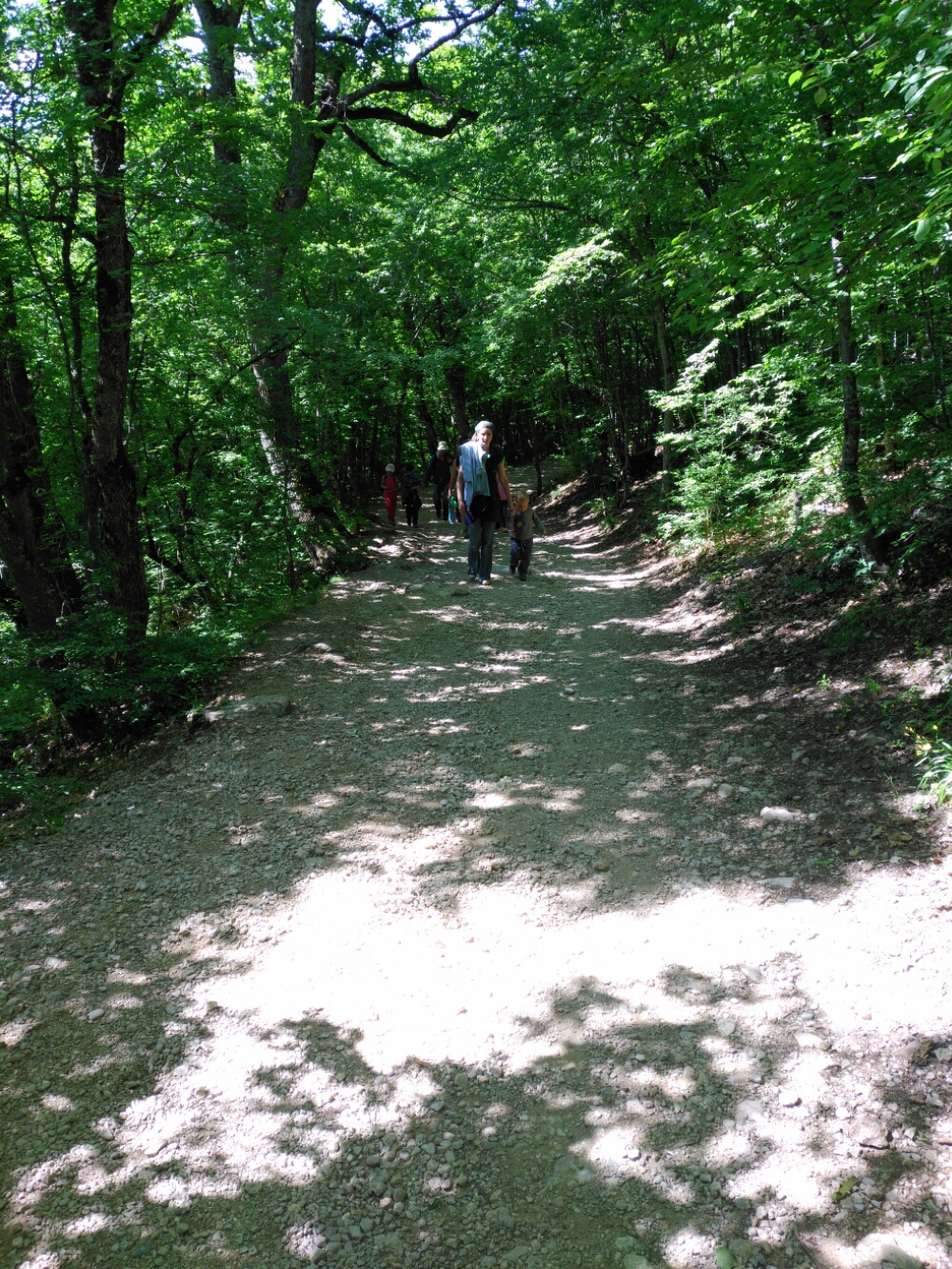 IMG_20160613_101854.jpg image