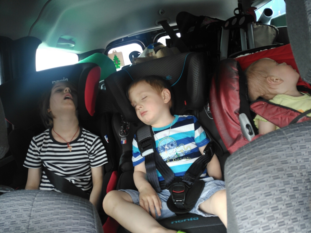 wp-1465066345405 image