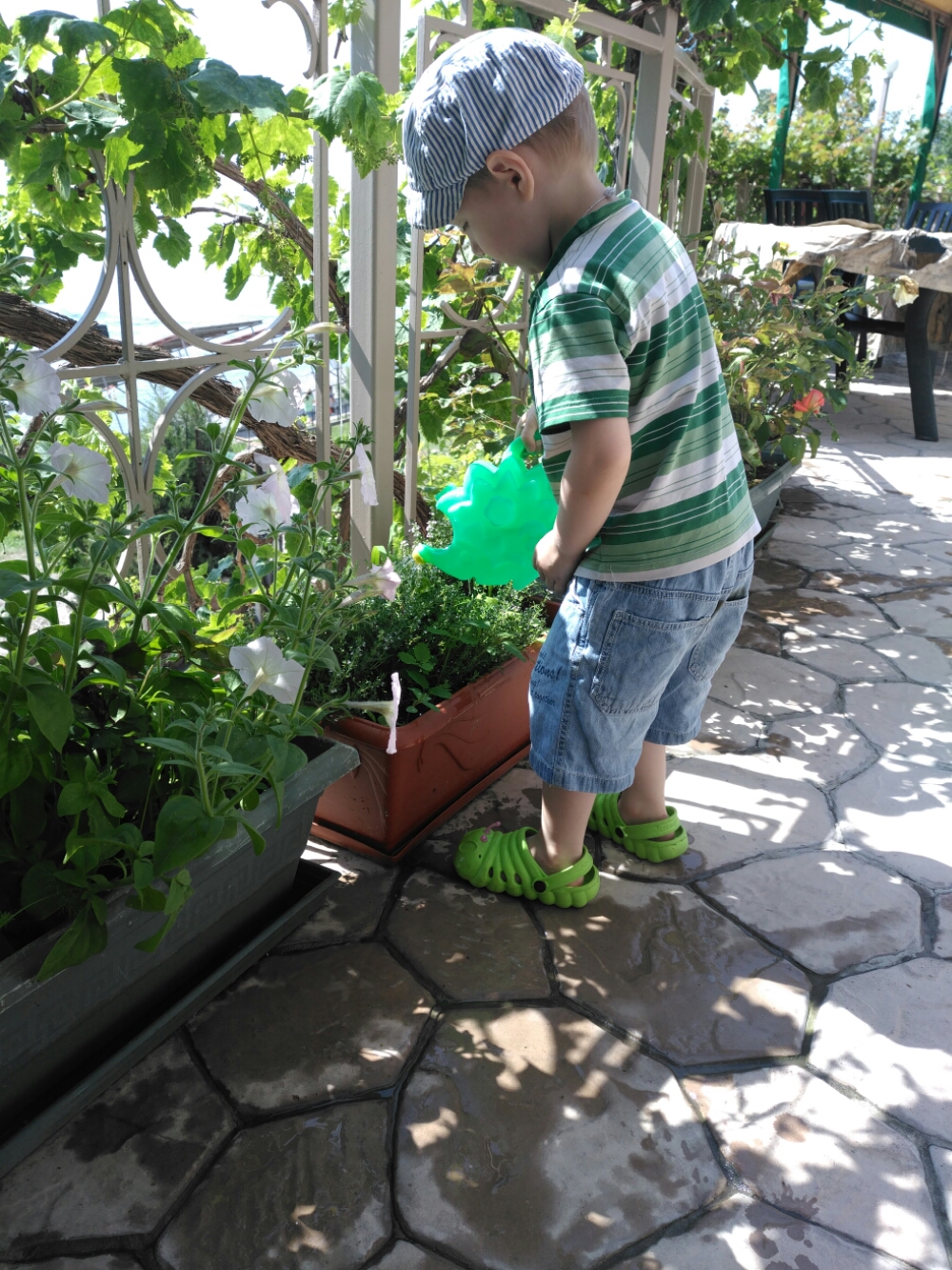 wp-1465198080901 image