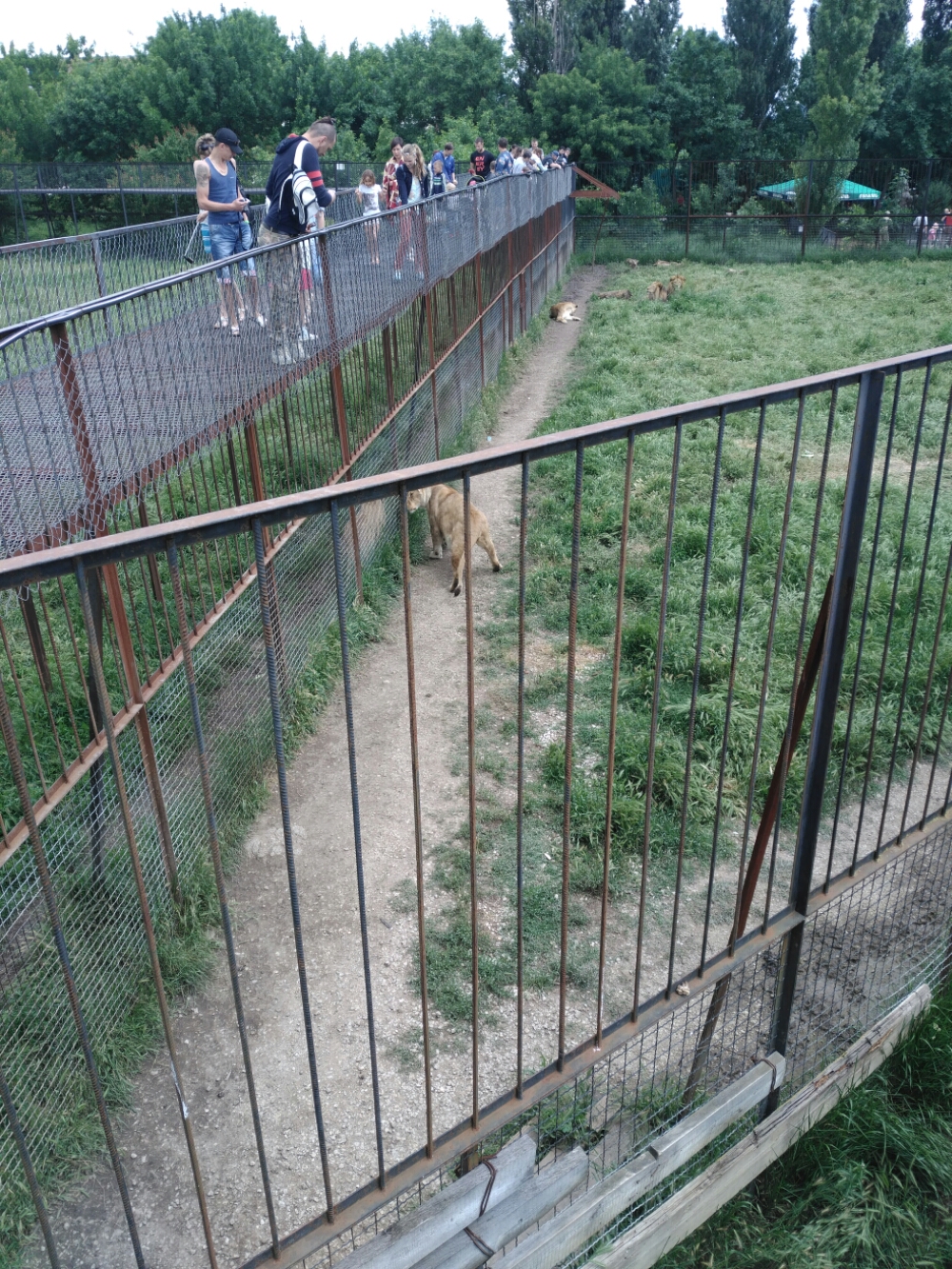 wp-1465453669594 image