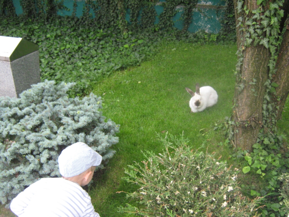 wp-1465454714193 image