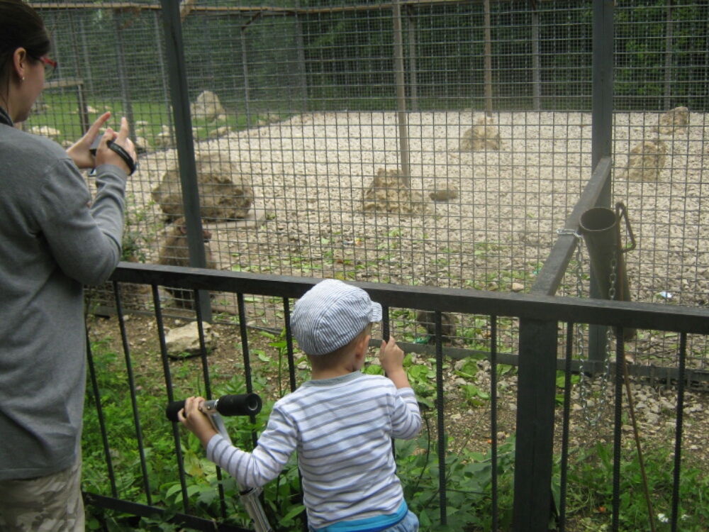 wp-1465454726266 image