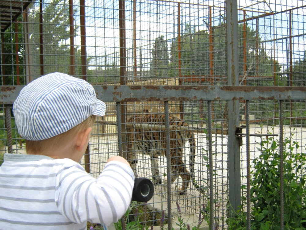 wp-1465454764916 image