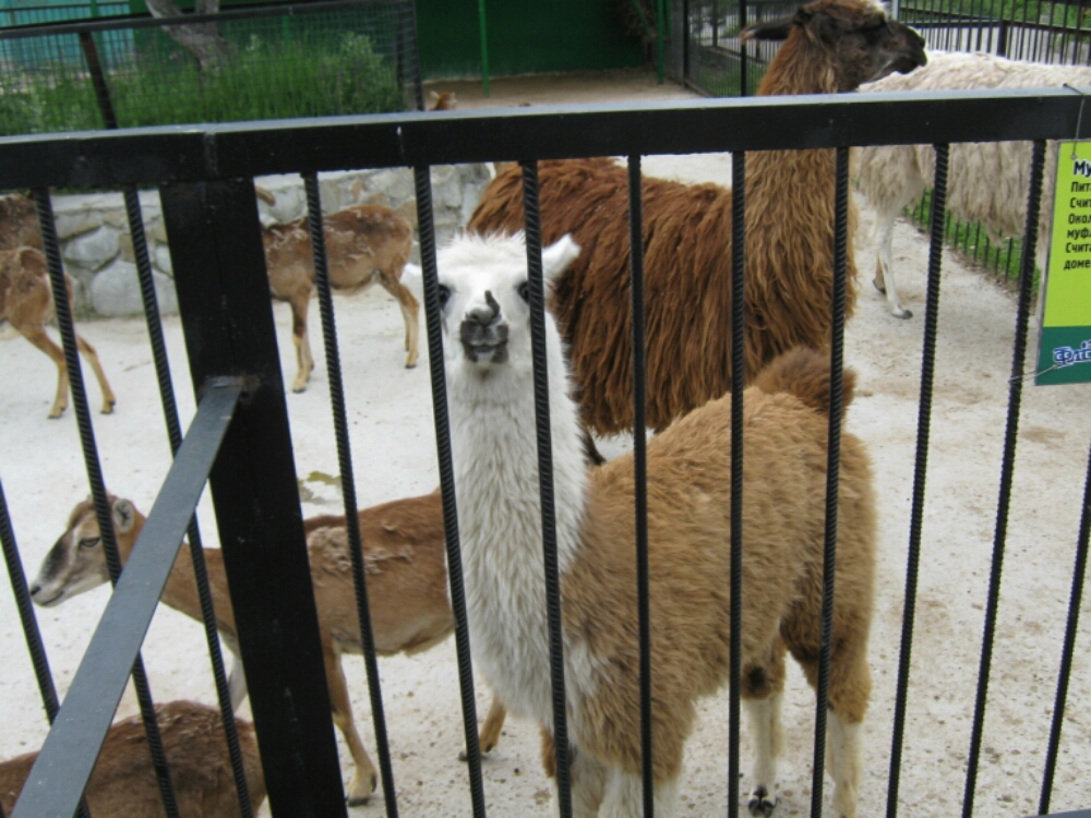 wp-1465454812373 image