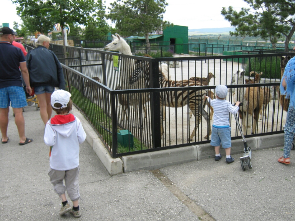 wp-1465454836052 image