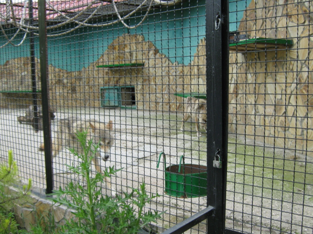 wp-1465454859444 image