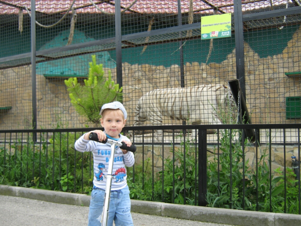 wp-1465454880417 image