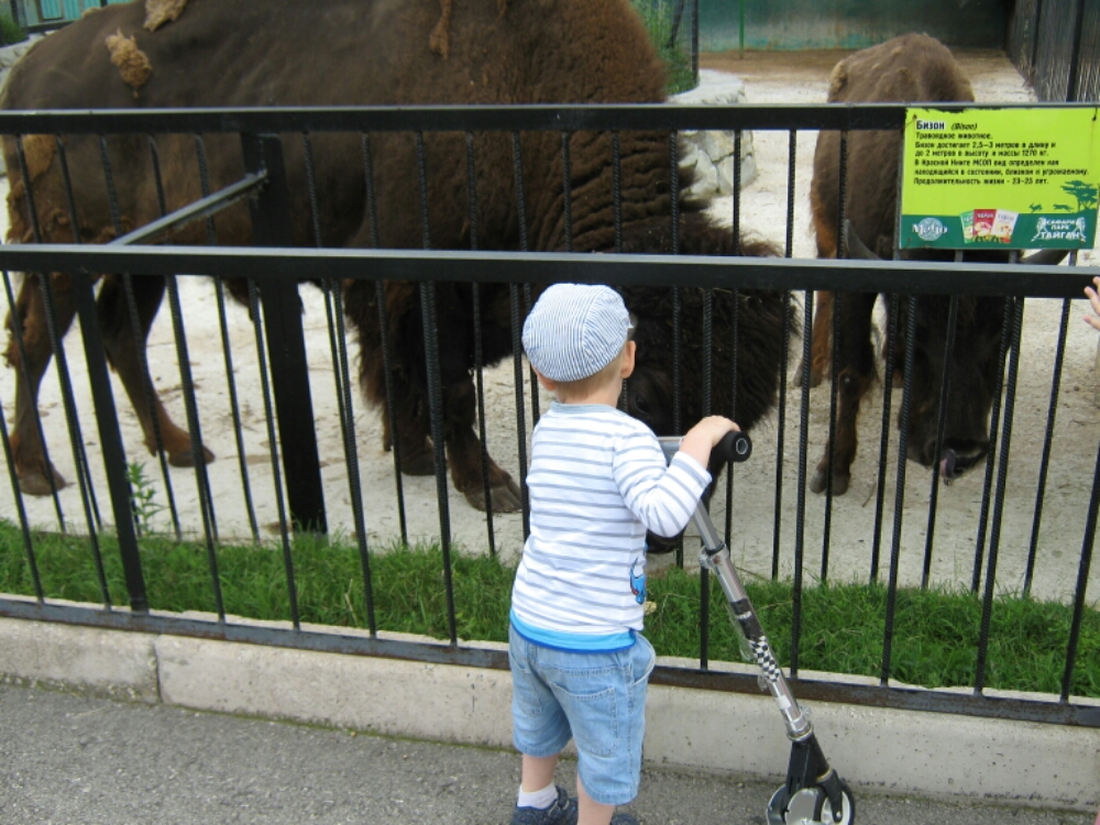 wp-1465454897507 image