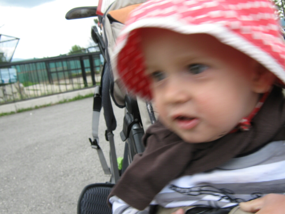 wp-1465460388649 image