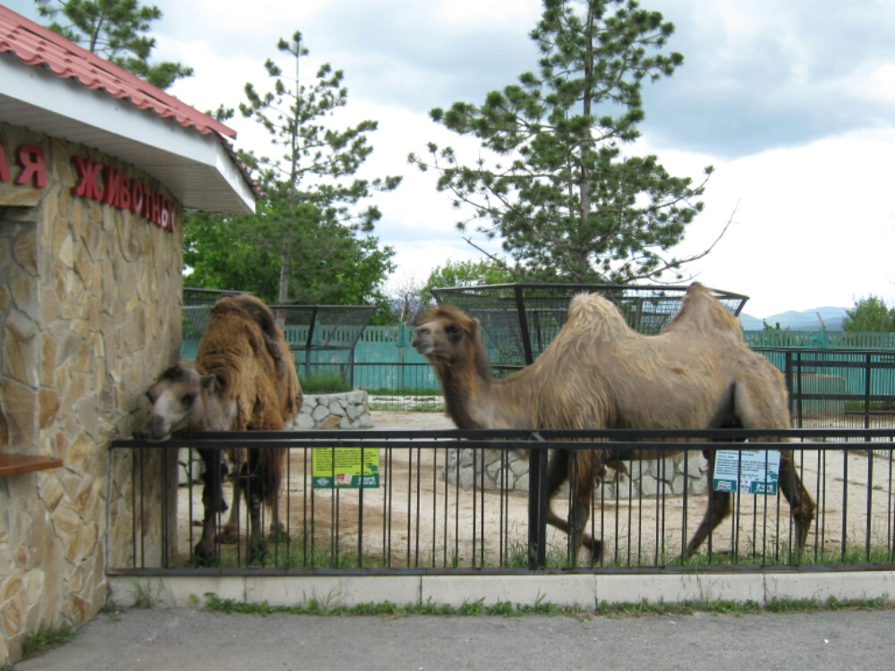 wp-1465460404686 image