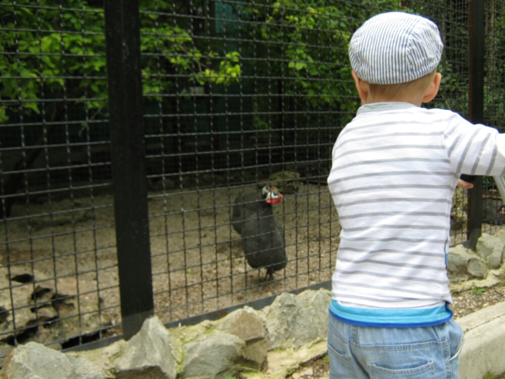 wp-1465460546265 image