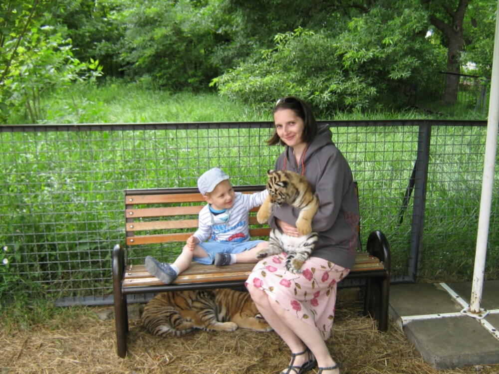 wp-1465460988571 image