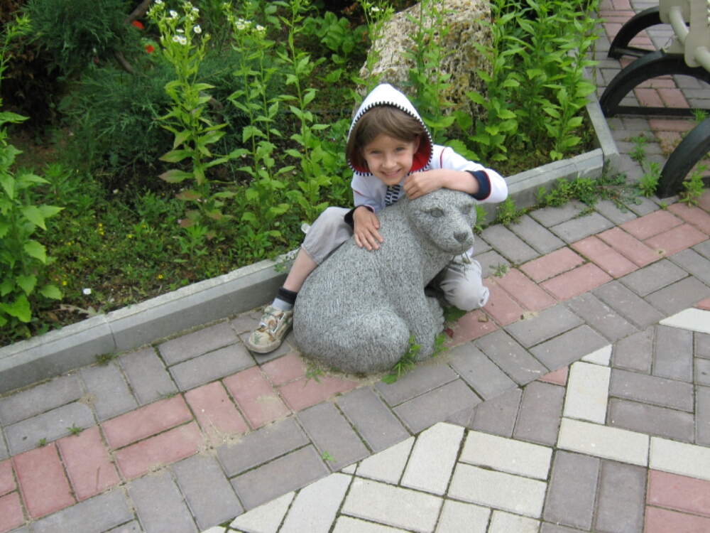 wp-1465461019995 image