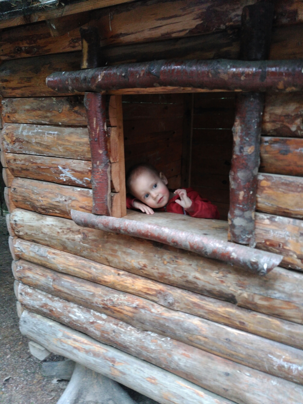 wp-1465461306382 image