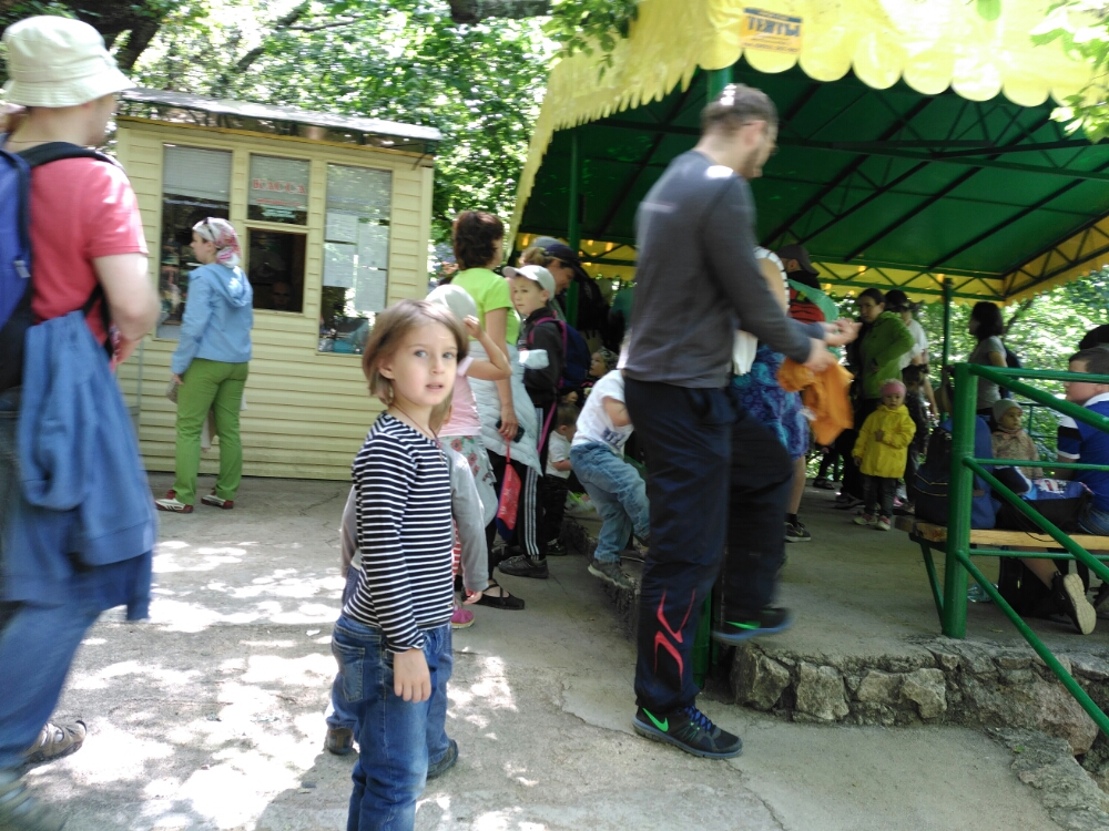 wp-1465841077212 image