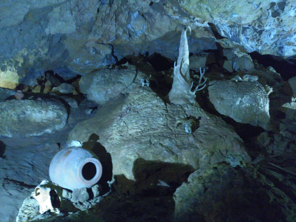 wp-1465841173461 image