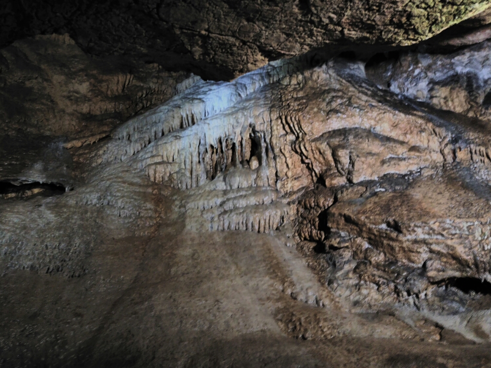 wp-1465845628009 image