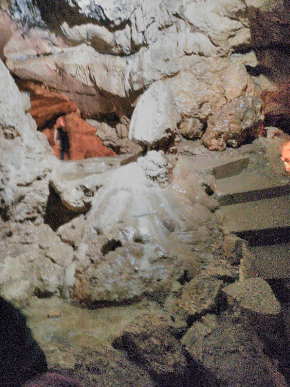 wp-1465845646746 image