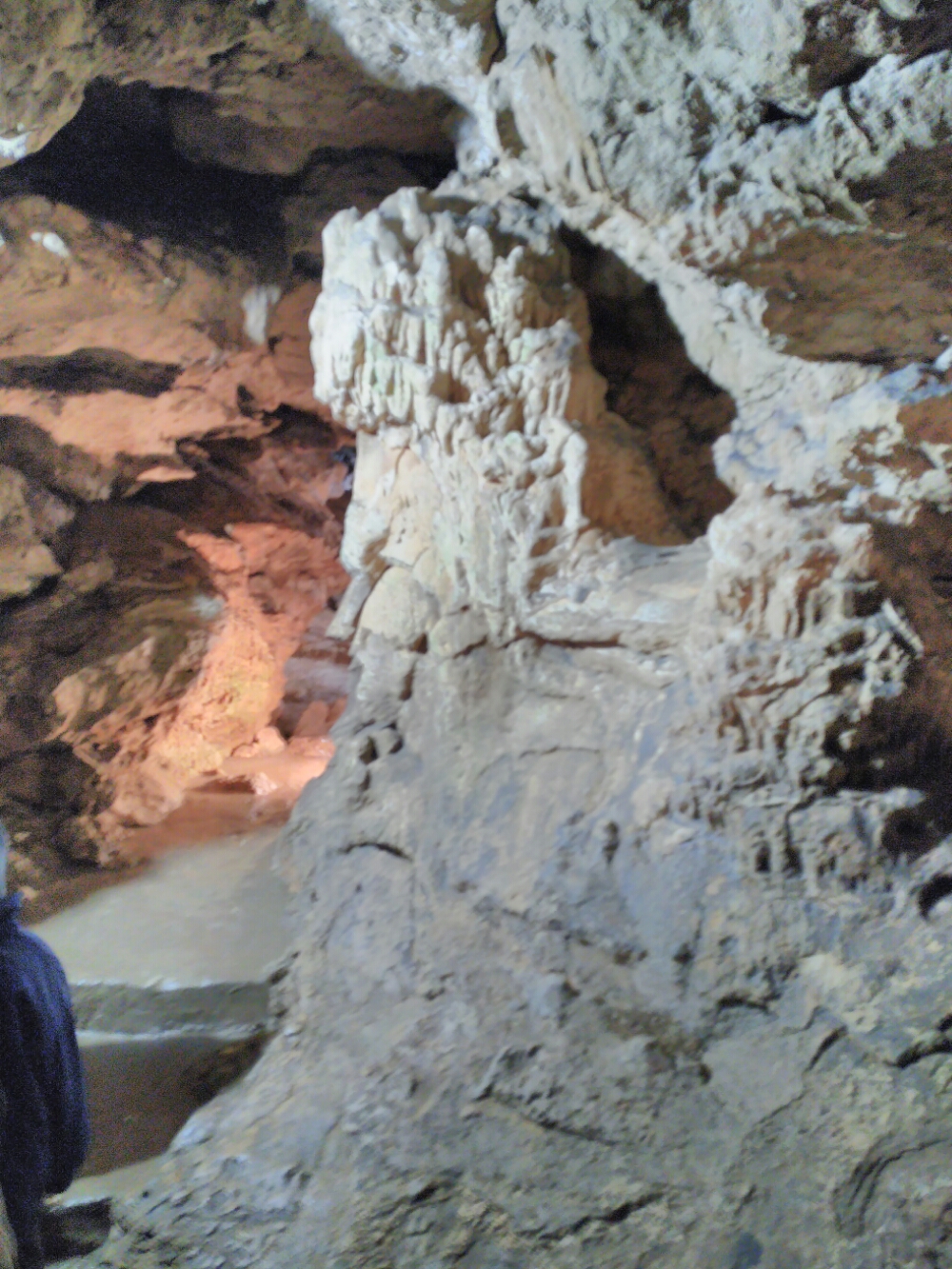 wp-1465845690488 image