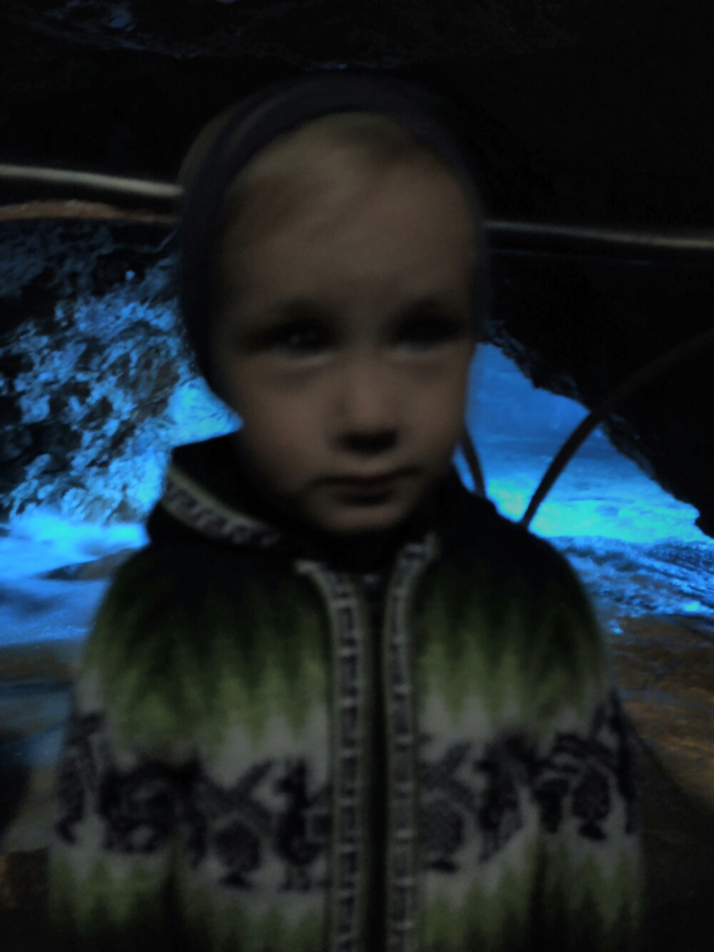 wp-1465845713561 image