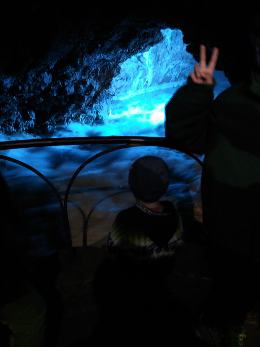 wp-1465845748552 image