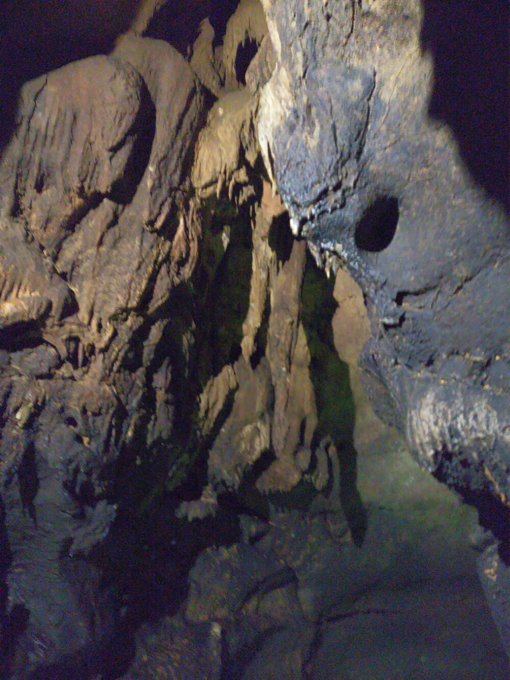 wp-1465846200780 image