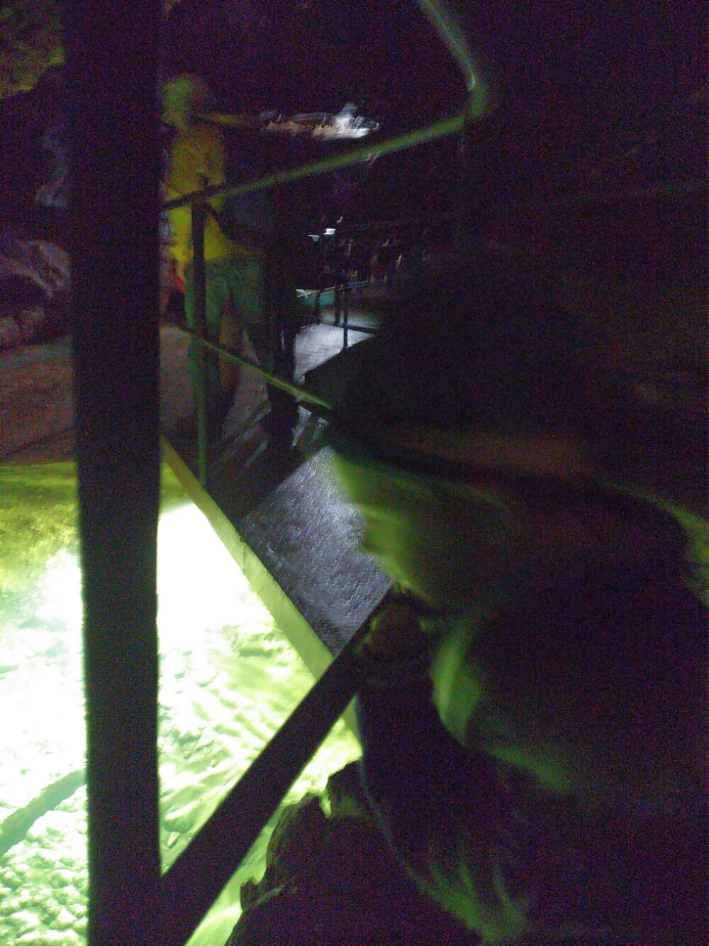 wp-1465846290198 image