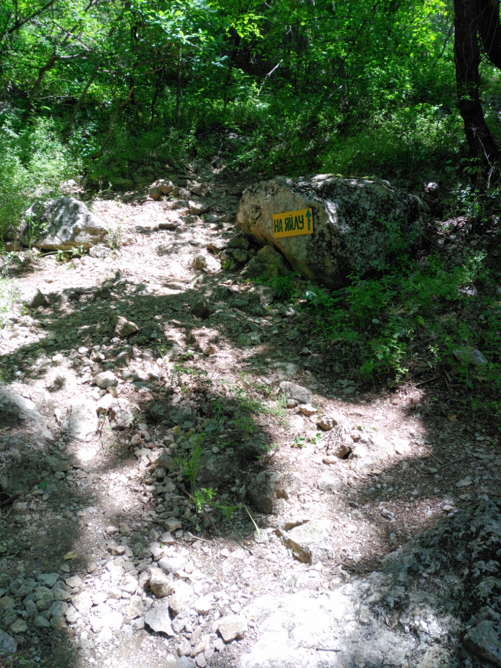 wp-1465846305717 image