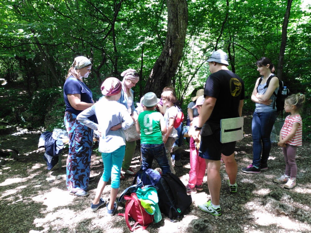 wp-1465846320380 image