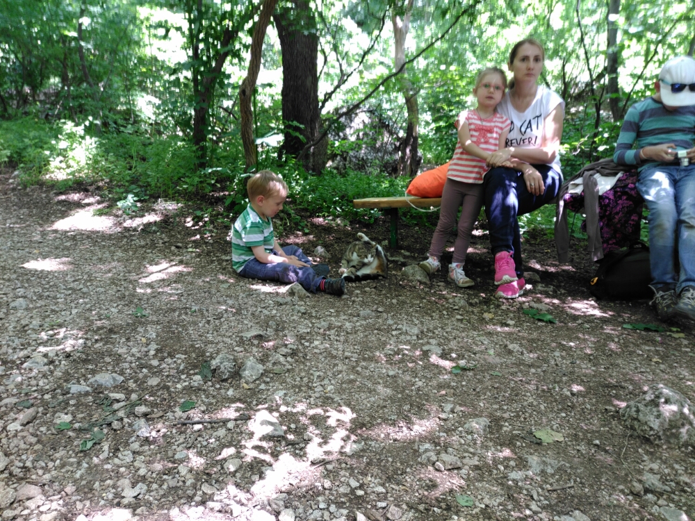 wp-1465846344441 image