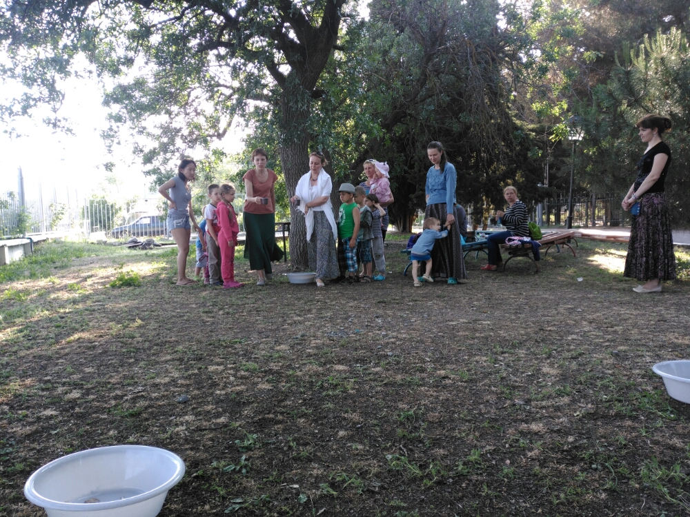 wp-1465846691459 image