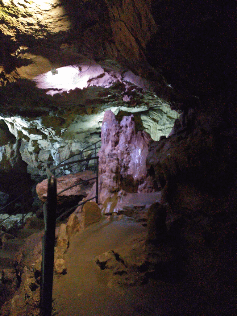 wp-1465885873952 image