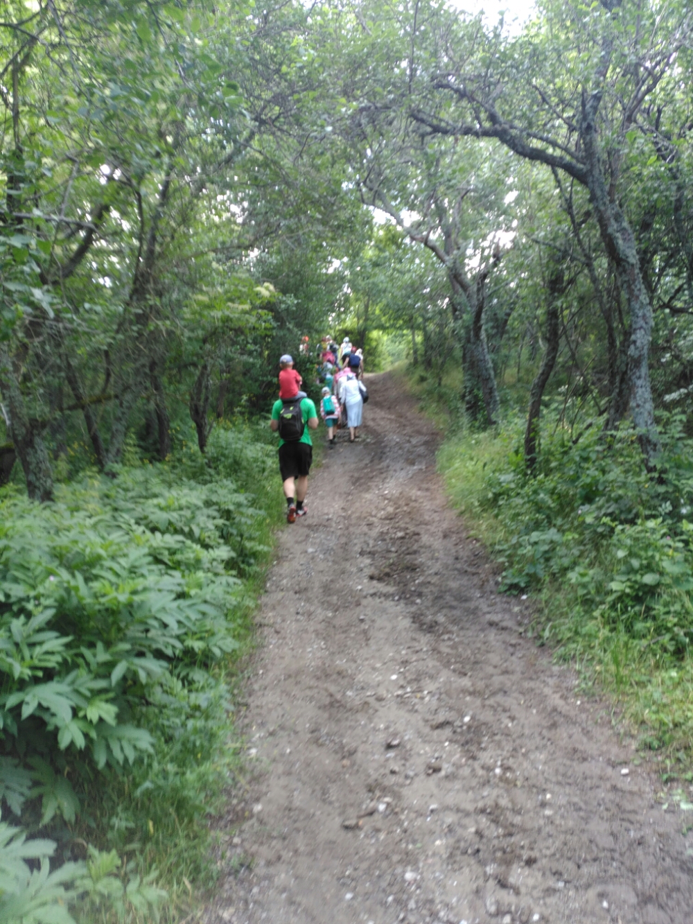 wp-1466207108066 image