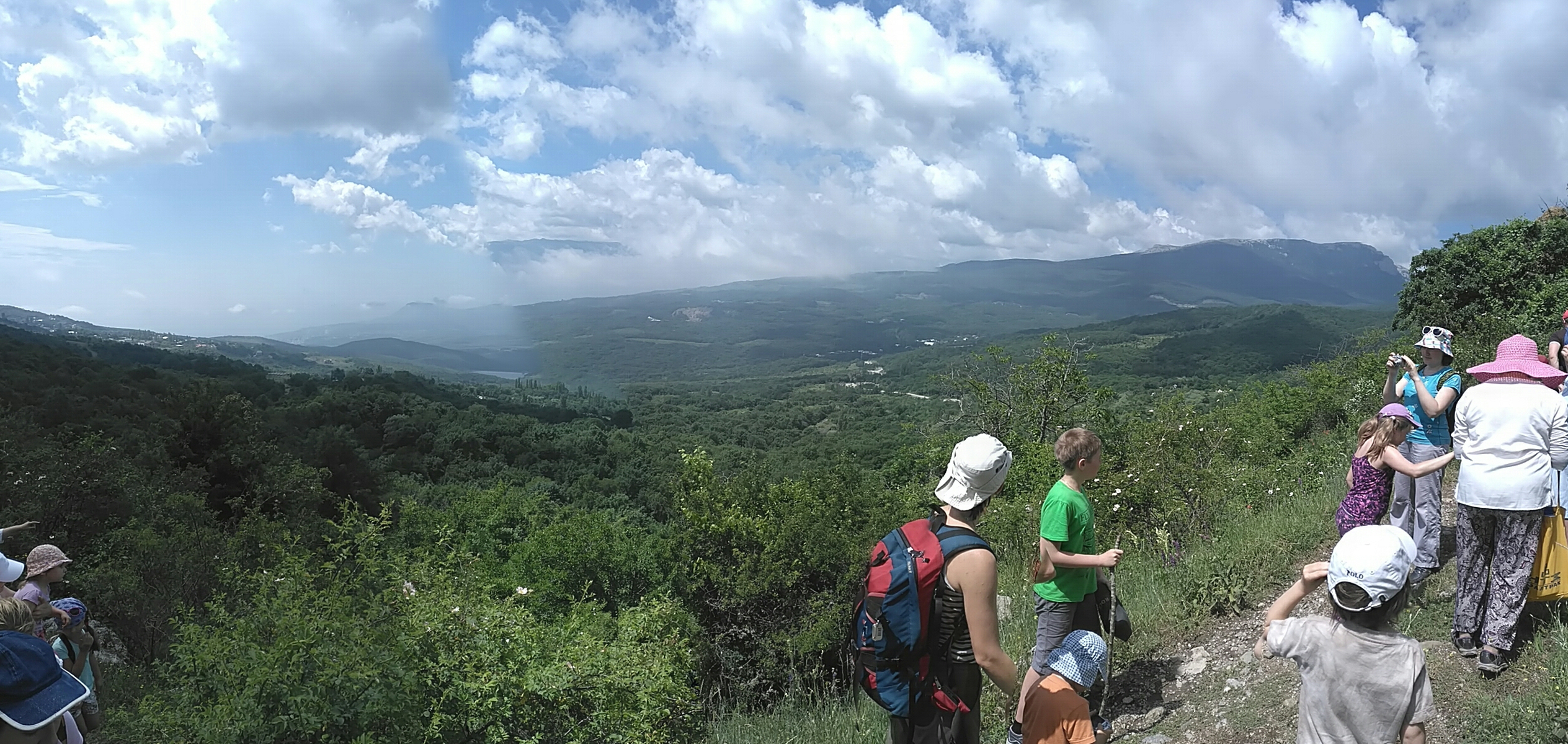 wp-1466207307407 image