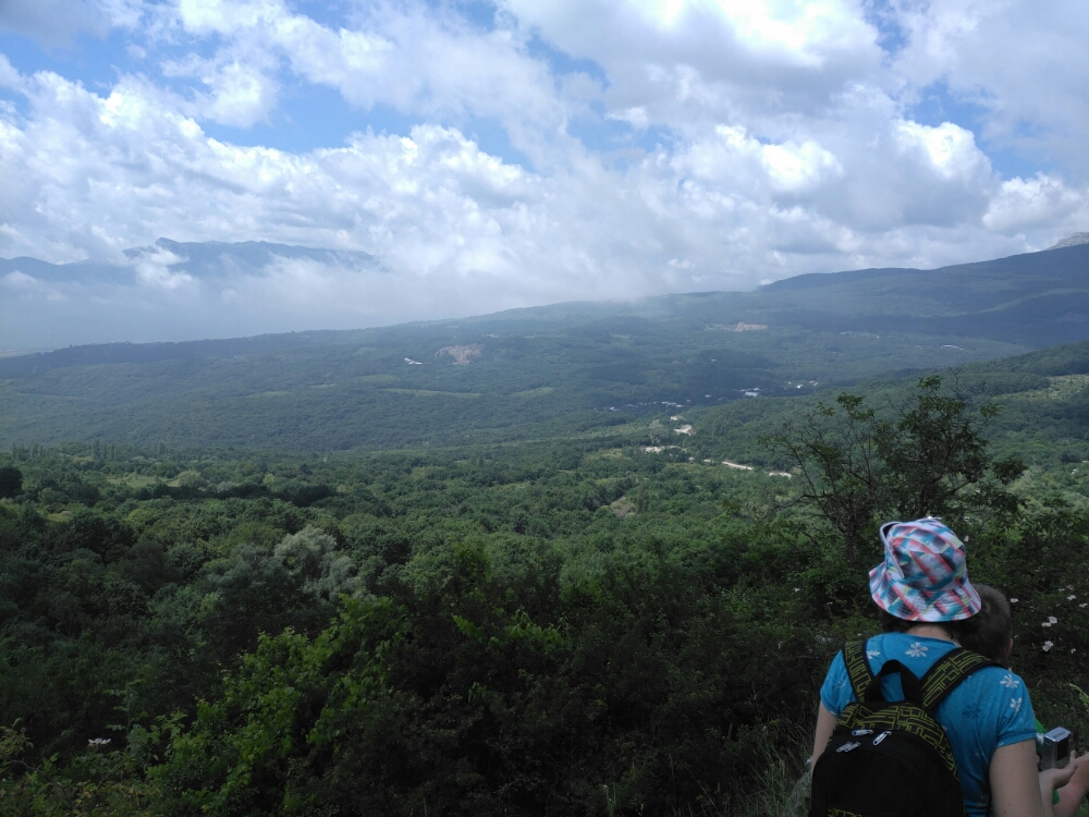 wp-1466207322316 image