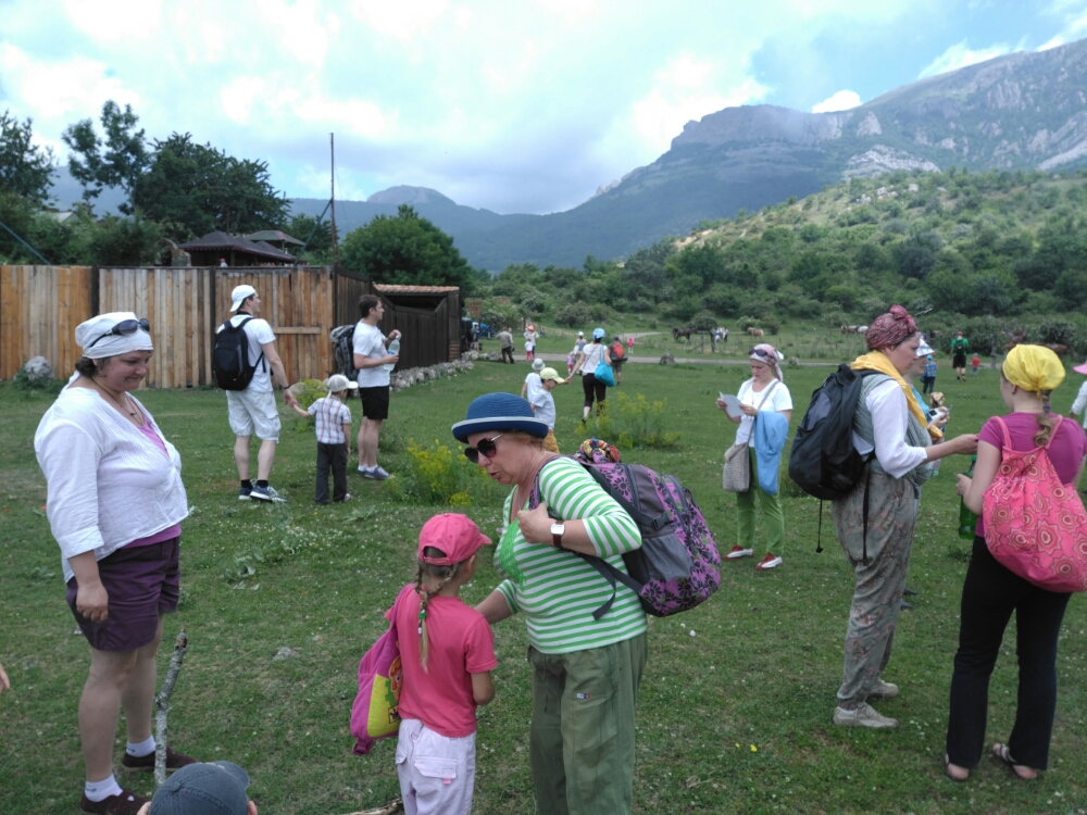 wp-1466207402813 image