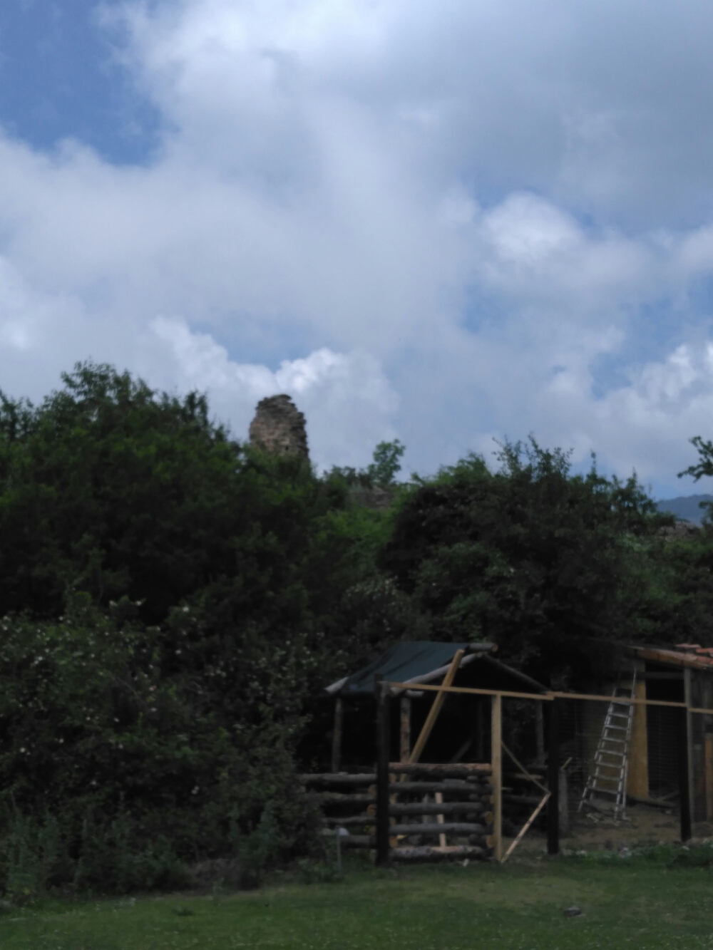 wp-1466207427884 image