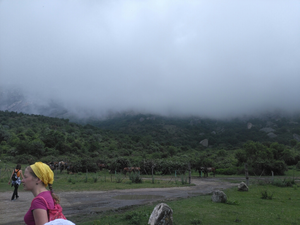 wp-1466207459044 image