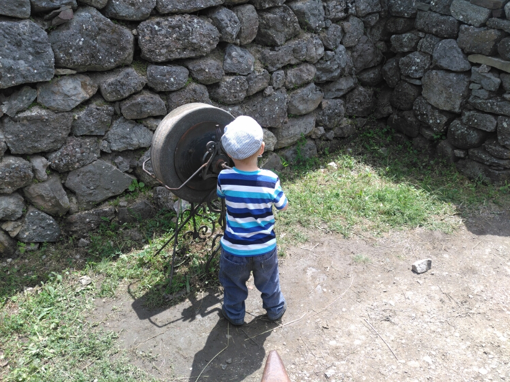 wp-1466208197176 image