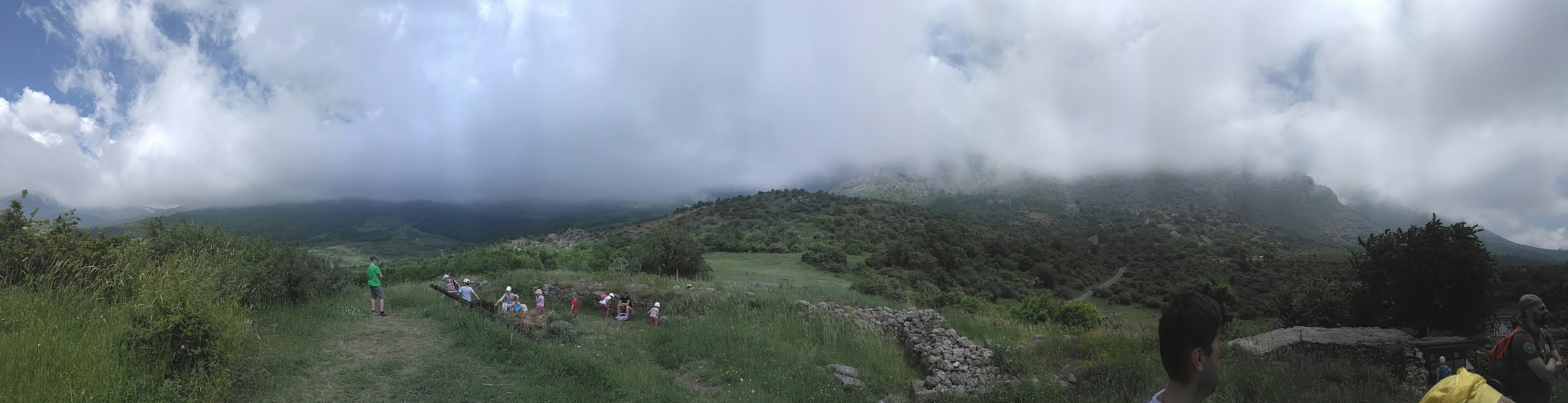 wp-1466209792841 image