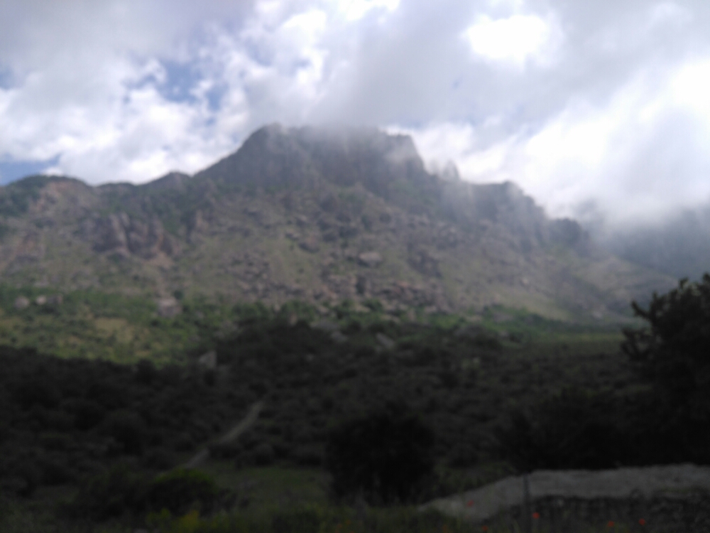 wp-1466209803200 image