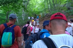 IMG_20190621_072139