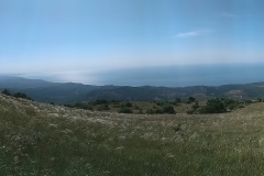 IMG_20190621_090018
